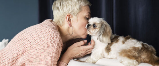 Helping Senior Pets Stay Comfortable with CBD