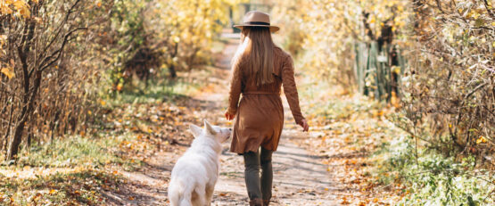 CBD for Dogs on Cold Morning Walks